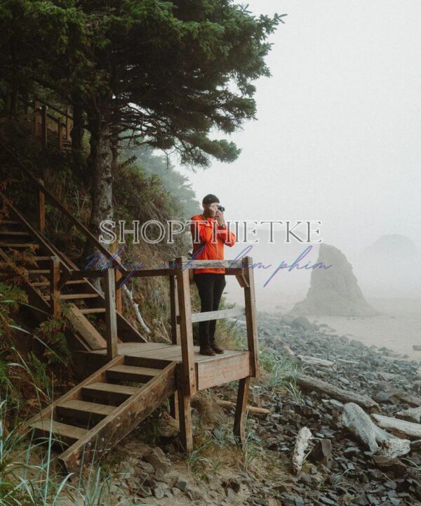 VGP GOLD 200 – Preset Giả Lập Film Gold 200 Chuẩn Màu Nhất (XMP/DNG)