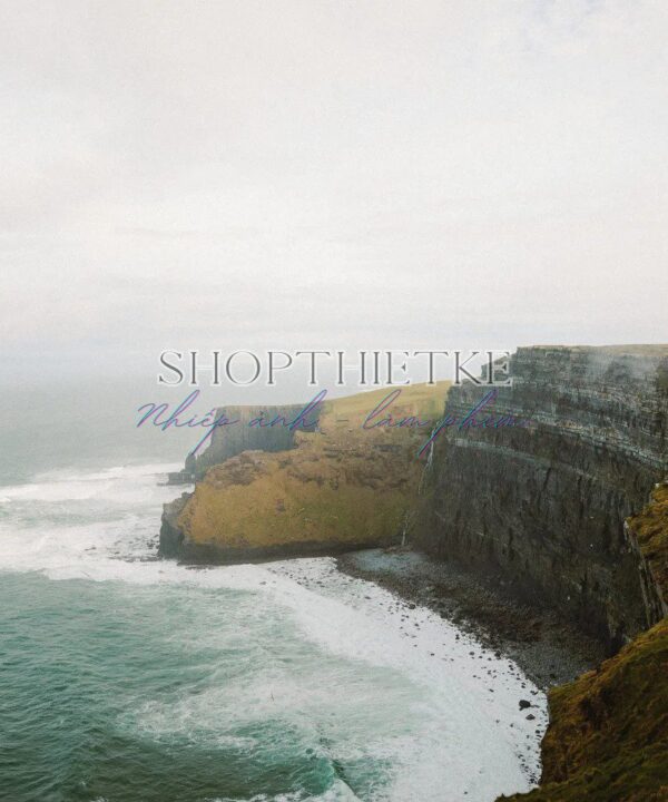 VGP GOLD 200 – Preset Giả Lập Film Gold 200 Chuẩn Màu Nhất (XMP/DNG)