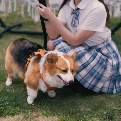 34 Profile Màu Giả Lập App Chỉnh Ảnh Dazz – Tái Hiện Màu Film Cổ Chân Thực (XMP)