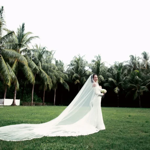 304 Preset XMP Giả Lập Tone Màu App XINGTU (醒图) Đa Dụng, Cực Đẹp (XMP profile)