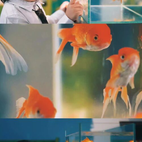 Màu Nhật Bản Trong Veo - Sở Hữu Bộ Preset Và Profile Độc Quyền Từ NAG Lý Khuyên Khuyên (XMP) 18 shopthietke com O1CN01bYsLjn1n8fDD8ykTT 4611686018427380805 0 fleamarket.jpg Q90.jpg