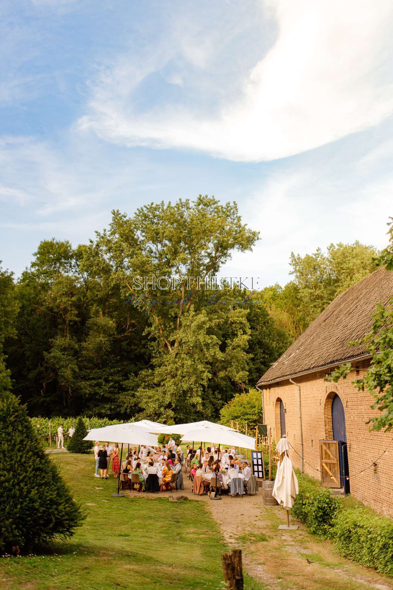 GOLD Presets – Bí Quyết Tạo Làn Da Ánh Vàng & Màu Sắc Rực Rỡ Hiện Đại (XMP/Video Hướng dẫn Việt Sub) 48 Before image