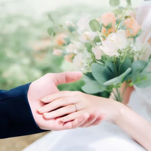 shopthietke com Shopthietke.com 100