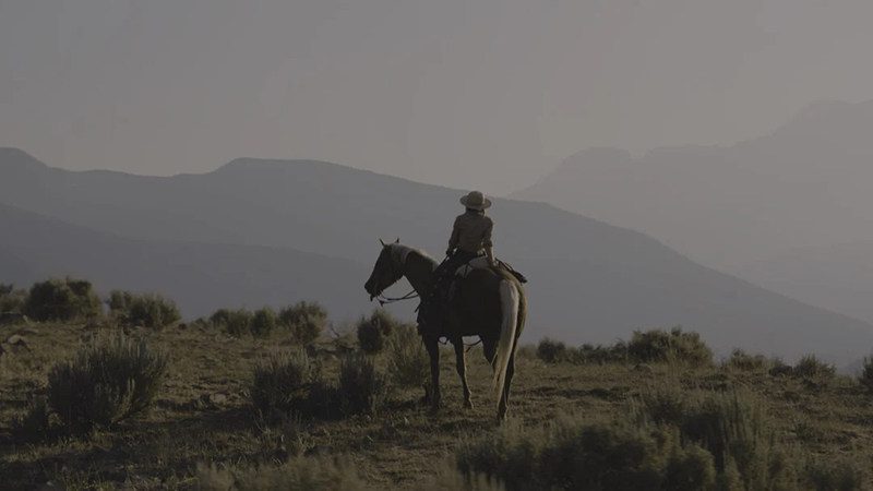 shopthietke com Shopthietke.com 184