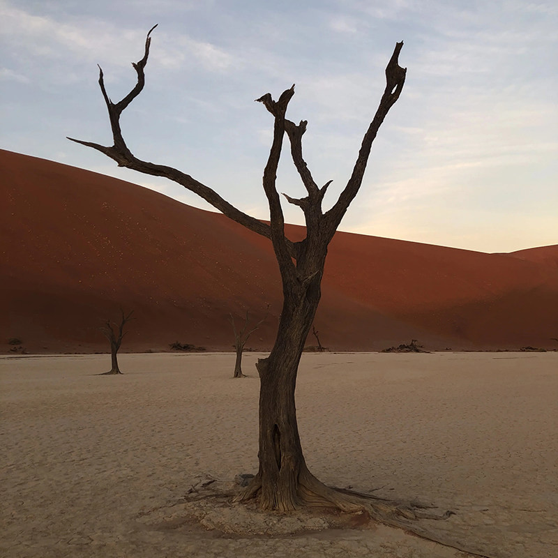 shopthietke com Shopthietke.com 213