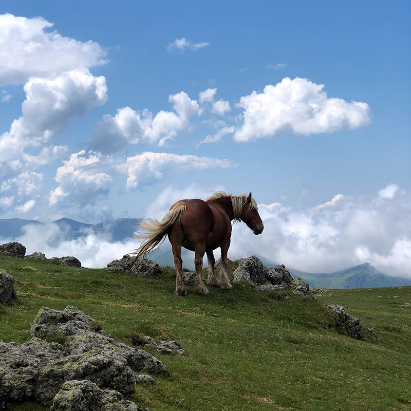 shopthietke com Shopthietke.com 219