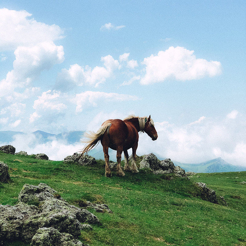 13 Preset Ảnh Điện Thoại Phong Cách Điện Ảnh – Chỉnh Màu Chuyên Nghiệp Chỉ 1 Click (XMP/DNG) 23 shopthietke com Shopthietke.com 220