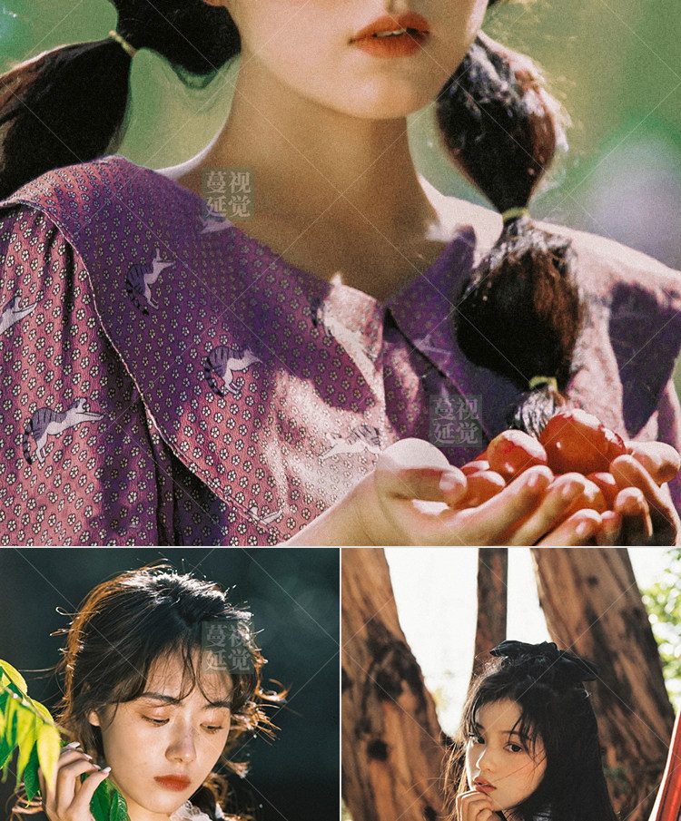 shopthietke com Shopthietke.com 230