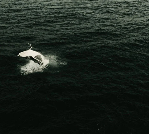 shopthietke com Shopthietke.com 237