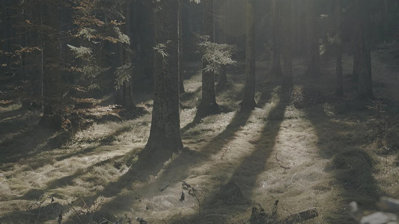 shopthietke com Shopthietke.com 238