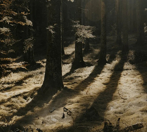 shopthietke com Shopthietke.com 239