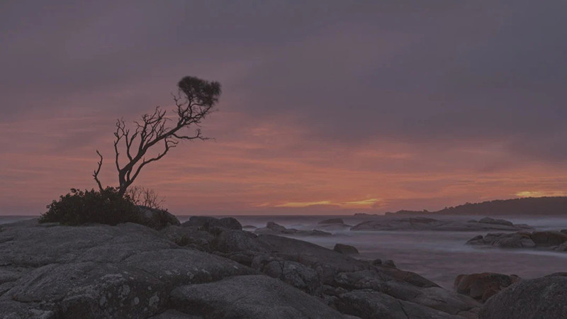 shopthietke com Shopthietke.com 242