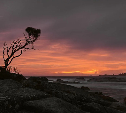 shopthietke com Shopthietke.com 243