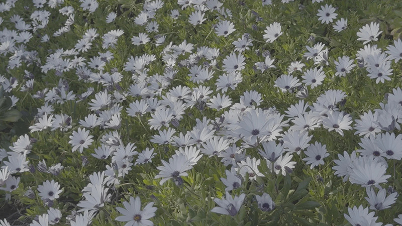 shopthietke com Shopthietke.com 262