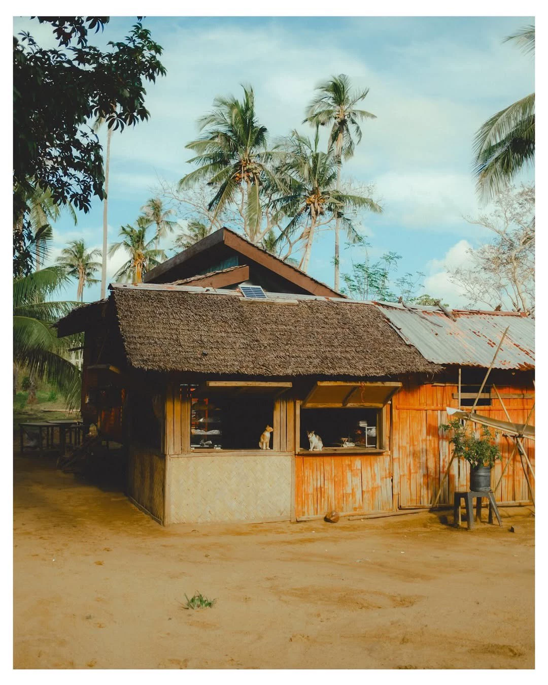 Bộ Preset Giả Lập Màu Film Kodak Điện Ảnh – Tông Màu Sâu, Dùng Được Cho Ảnh & Video (XMP/CUBE/COS) 49 shopthietke com Shopthietke.com 278