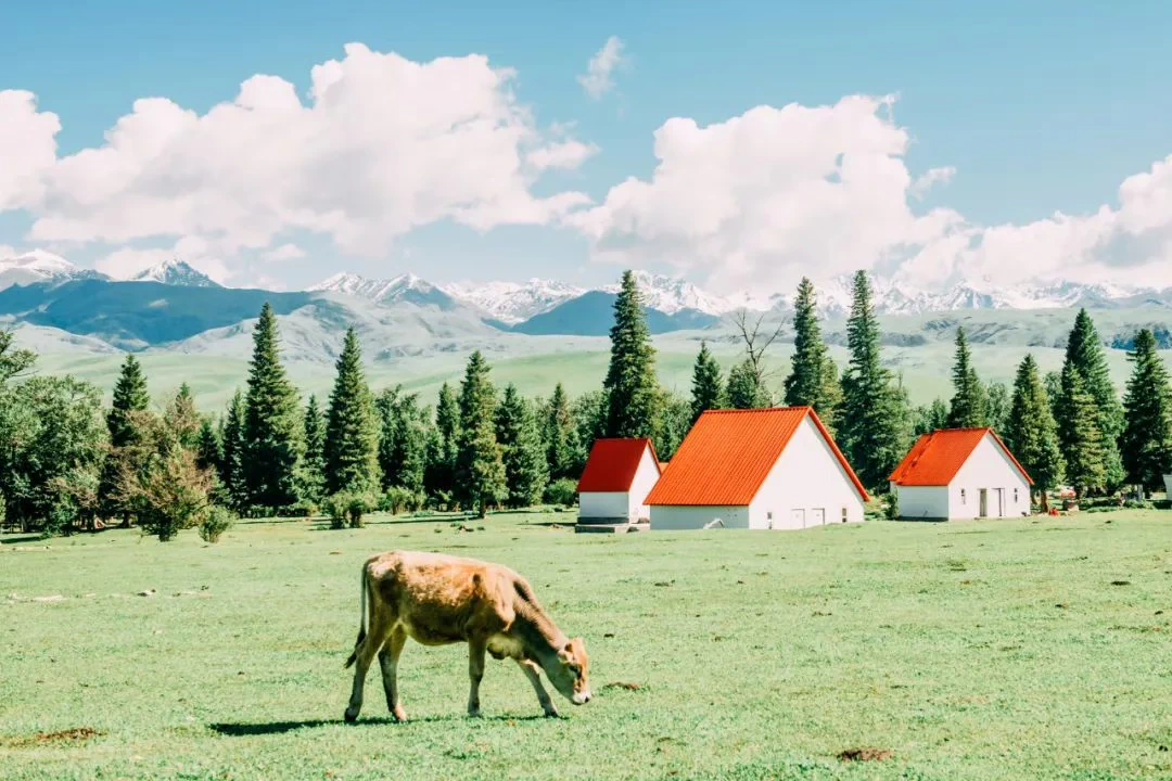 shopthietke com Shopthietke.com 284