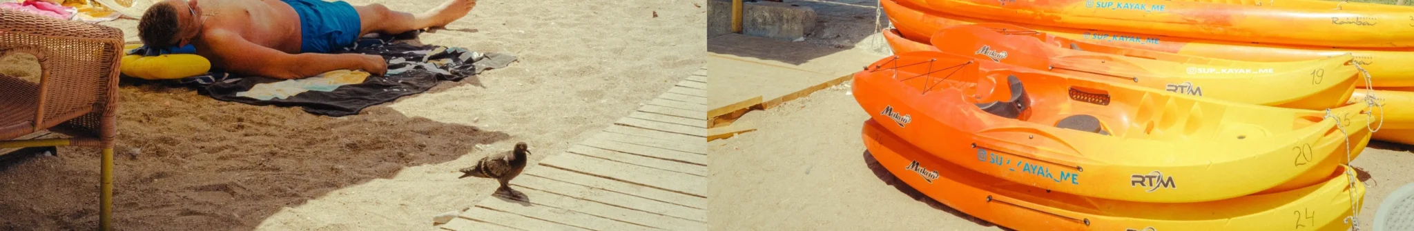 shopthietke com Shopthietke.com 291 scaled