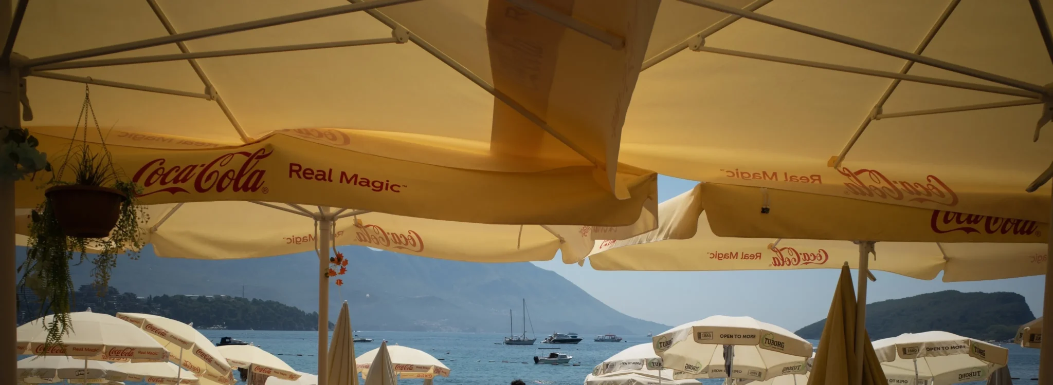 shopthietke com Shopthietke.com 310 scaled