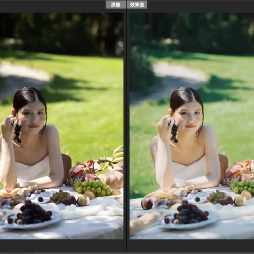 Màu Nhật Bản Trong Veo - Sở Hữu Bộ Preset Và Profile Độc Quyền Từ NAG Lý Khuyên Khuyên (XMP)