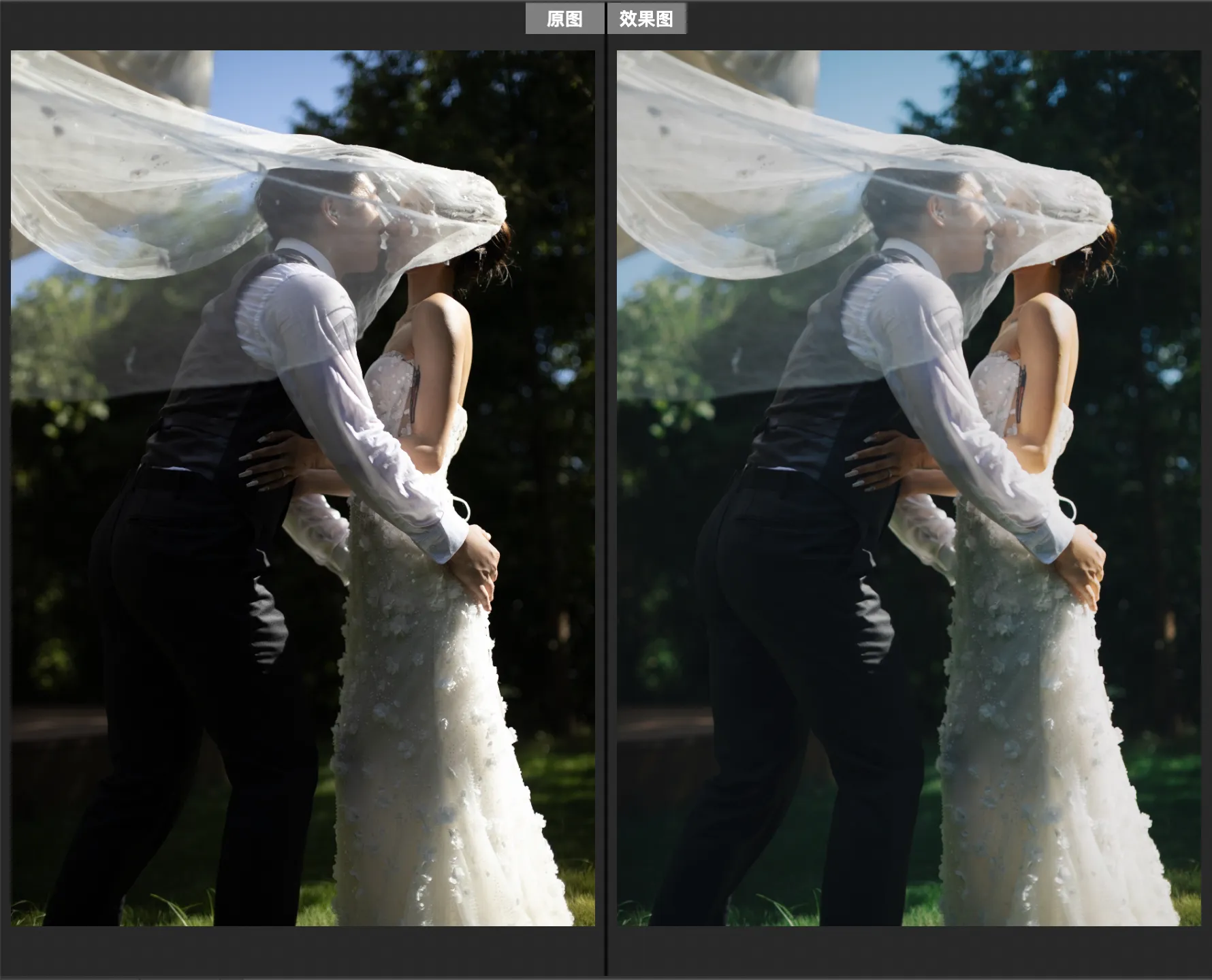 shopthietke com Shopthietke.com 338