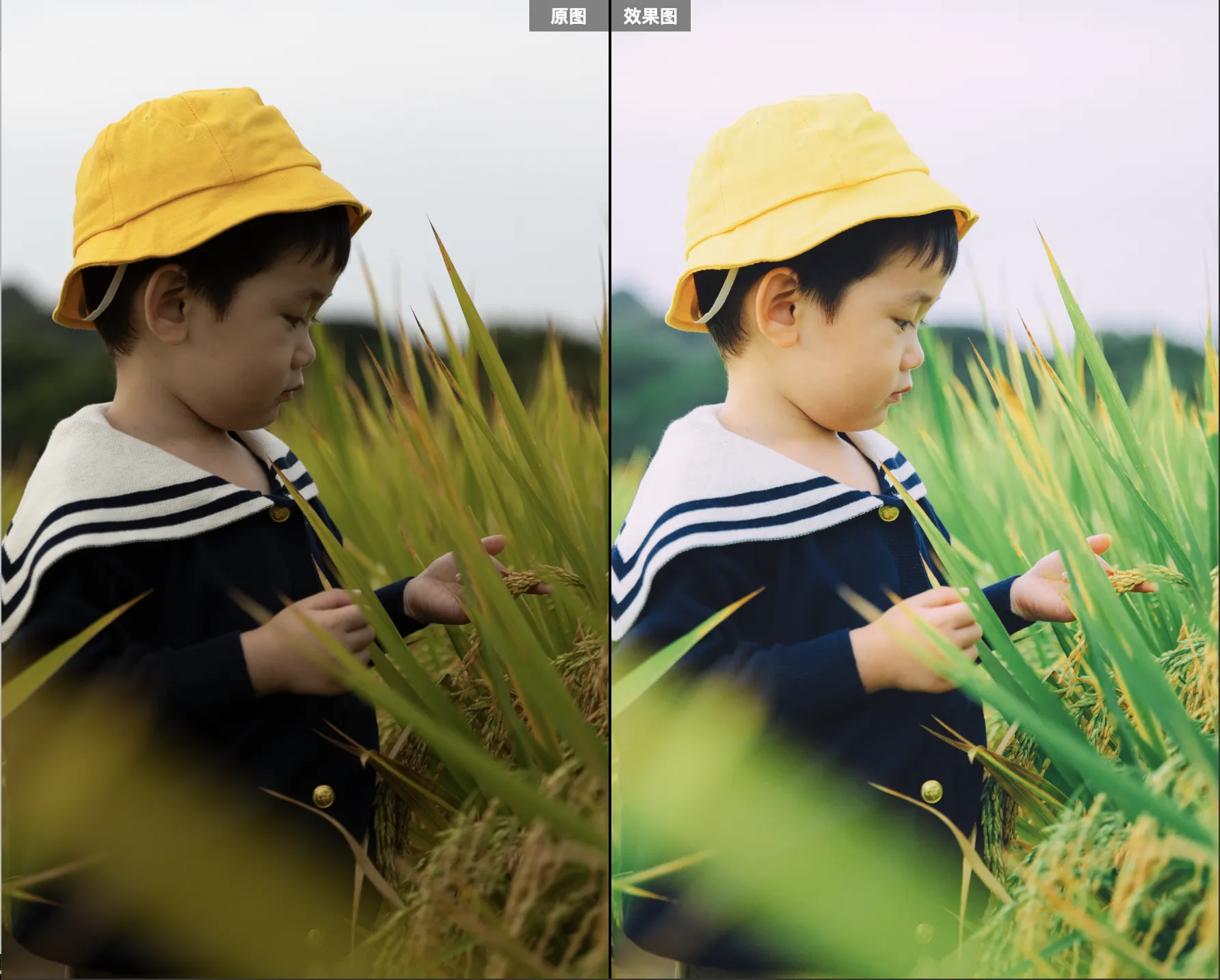 shopthietke com Shopthietke.com 339