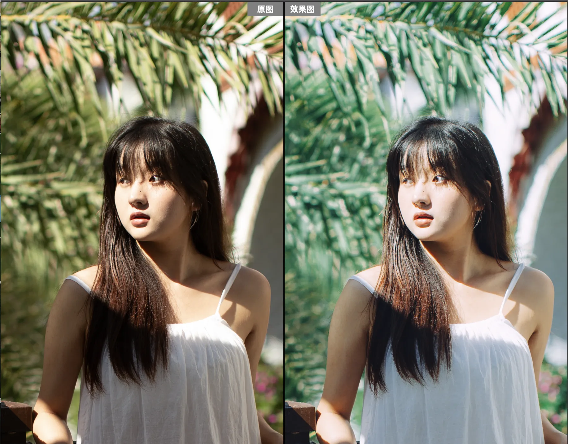 shopthietke com Shopthietke.com 341