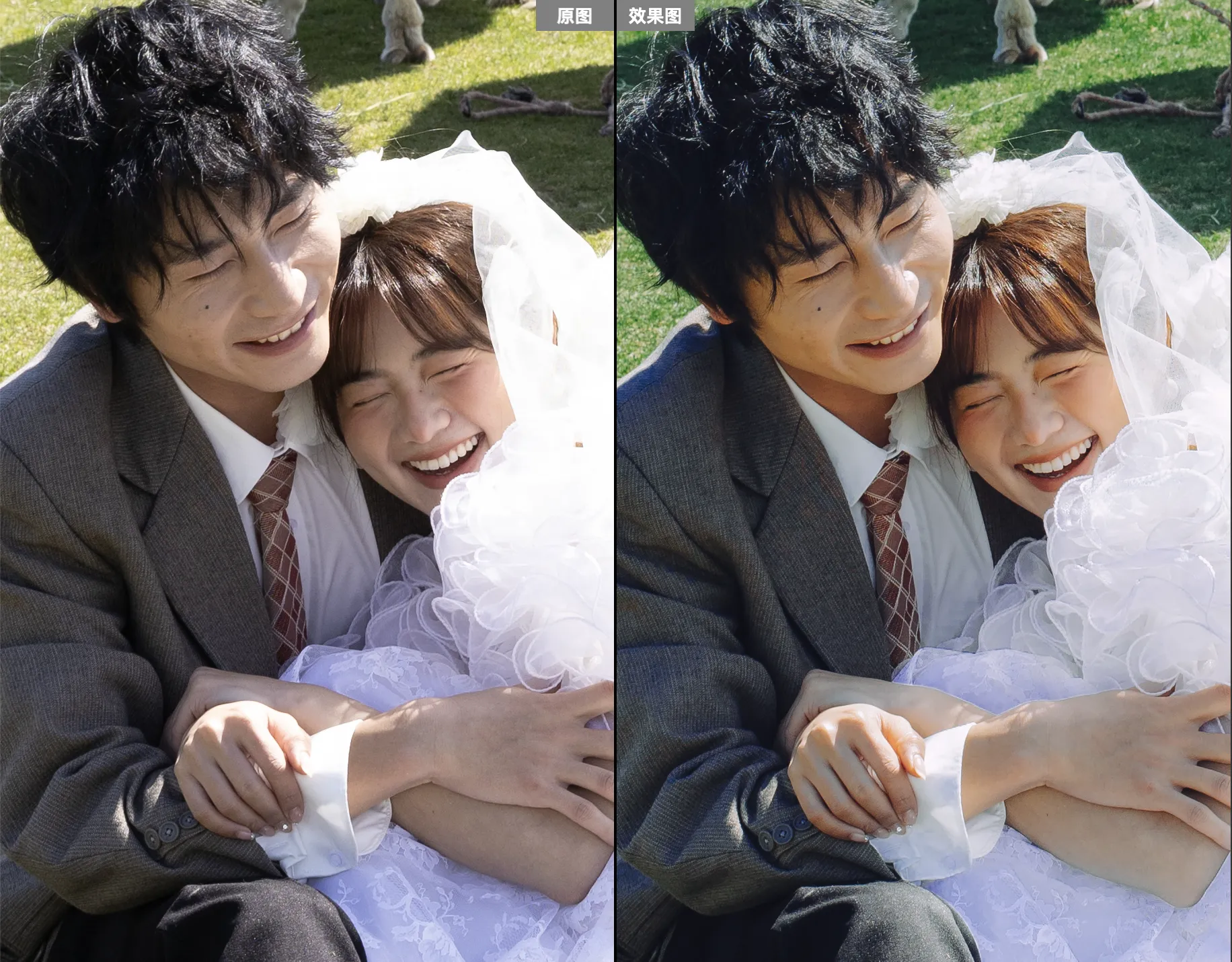 shopthietke com Shopthietke.com 343