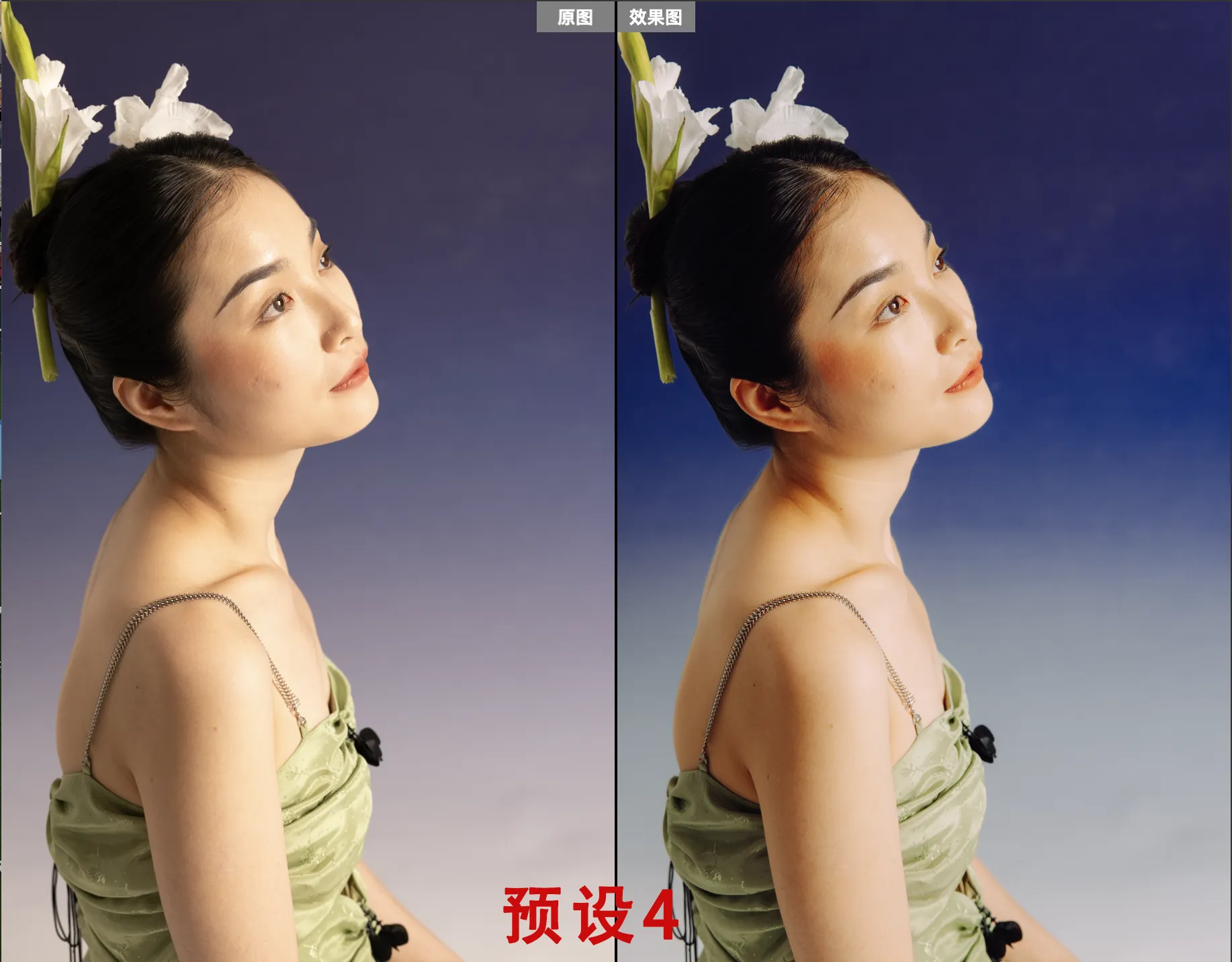 shopthietke com Shopthietke.com 354