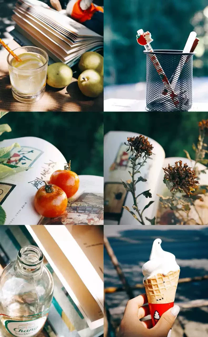 21 Preset Fujifilm Classic Neg / Nostalgic Neg – Giả Lập Film CN Chuẩn Fuji Cho Ảnh Phong Cảnh, Đường Phố (XMP/Profile)