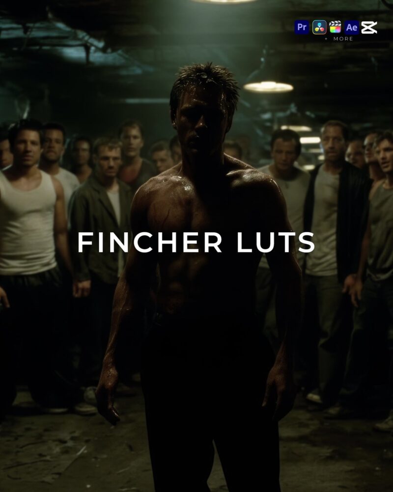 Fincher LUTs – 25 Movie LUTs | Màu Điện Ảnh U Tối, Chuẩn Phong Cách David Fincher (CUBE)