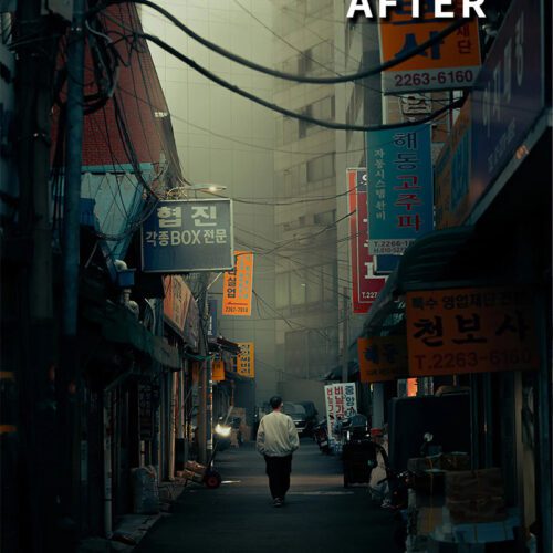 Daylight Oasis – 15 Preset Lightroom Ánh Sáng Ban Ngày | Sáng Trong, Điện Ảnh & Tự Nhiên (XMP/DNG)