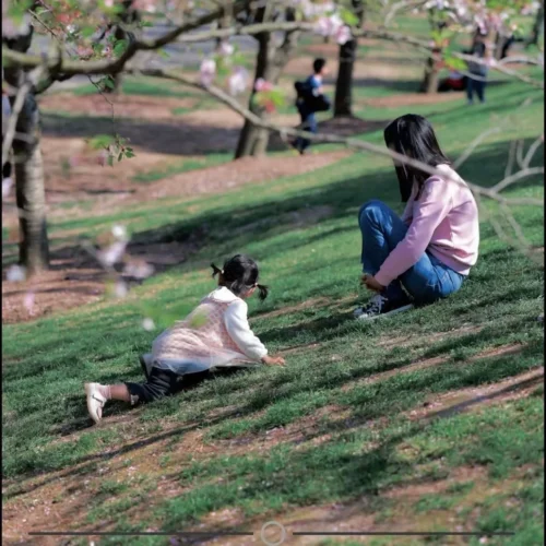 shopthietke com Shopthietke.com 96