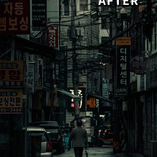 Daylight Oasis – 15 Preset Lightroom Ánh Sáng Ban Ngày | Sáng Trong, Điện Ảnh & Tự Nhiên (XMP/DNG)