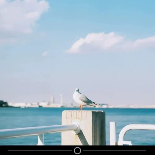 shopthietke com Shopthietke.com 98