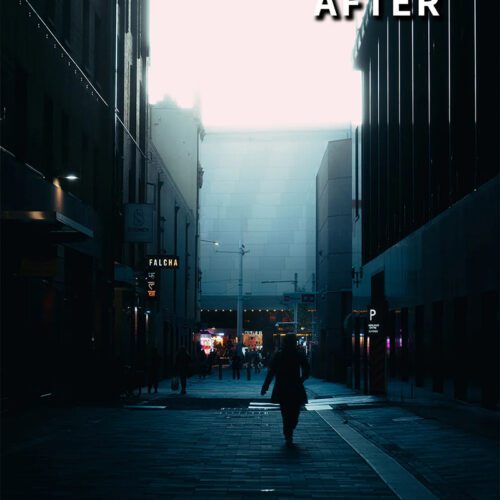 Daylight Oasis – 15 Preset Lightroom Ánh Sáng Ban Ngày | Sáng Trong, Điện Ảnh & Tự Nhiên (XMP/DNG)