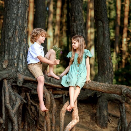 shopthietke com adaptive toolbox kids 8