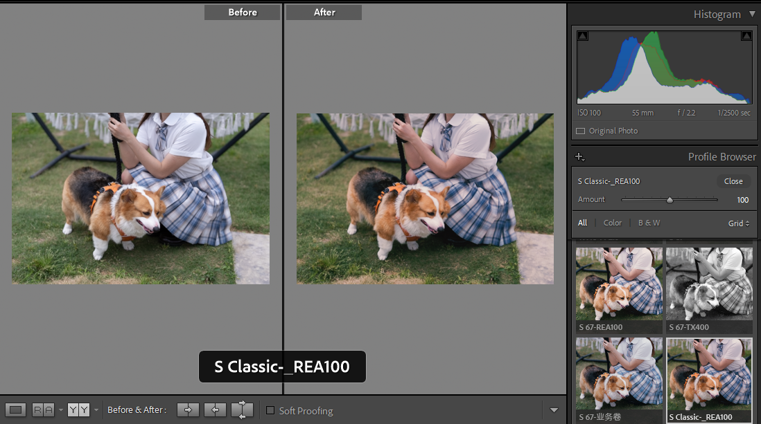 shopthietke com anh 17