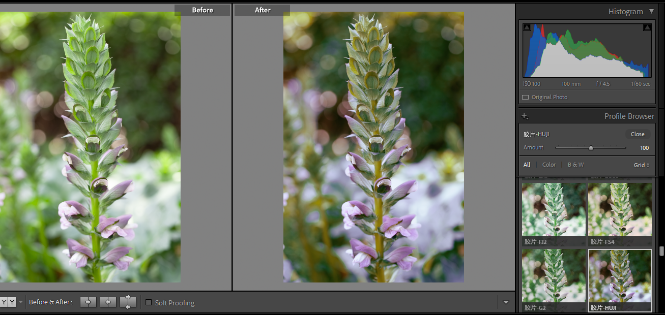 shopthietke com anh 29