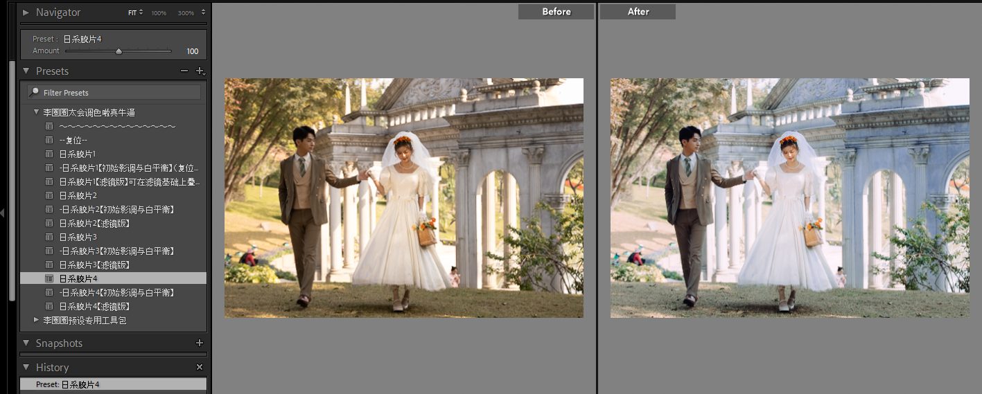 Màu Nhật Bản Trong Veo - Sở Hữu Bộ Preset Và Profile Độc Quyền Từ NAG Lý Khuyên Khuyên (XMP) 58 shopthietke com anh 35