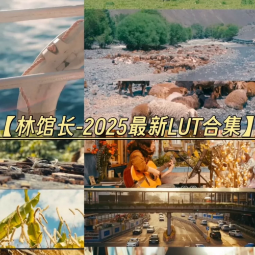 Full Pack “Mu Mu Quản Chưởng” 2025 – Bản Nâng Cấp Mới Nhất, Đa Phong Cách, Dễ Dùng (CUBE)