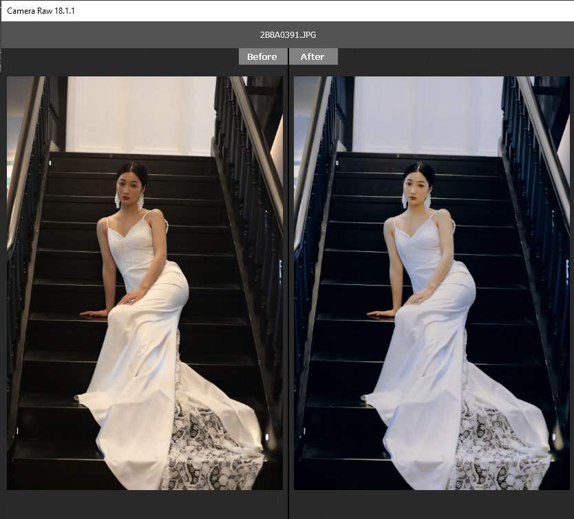 Mang Chất "Film Cổ Điển" Vào Ảnh Với 29 Preset Màu 5207/5219 Tuyển Chọn (XMP) 76 shopthietke com anh 8