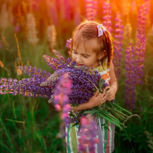 shopthietke com beforeafteradaptivetoolbox 6 copy