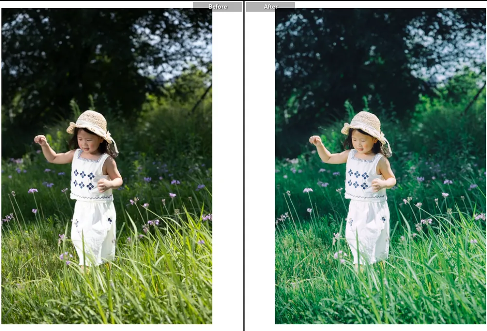 Màu Nhật Bản Trong Veo - Sở Hữu Bộ Preset Và Profile Độc Quyền Từ NAG Lý Khuyên Khuyên (XMP) 55 shopthietke com screenshot 1768407462 web