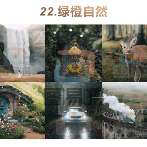 shopthietke com 合集022 绿橙自然