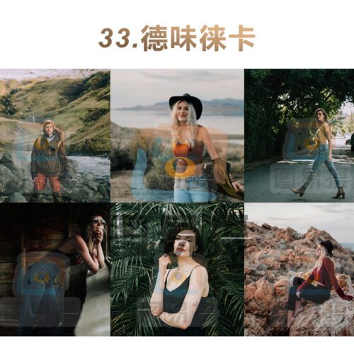 shopthietke com 合集033 德味徕卡