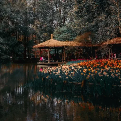 shopthietke com 13 森系湖畔调色 web