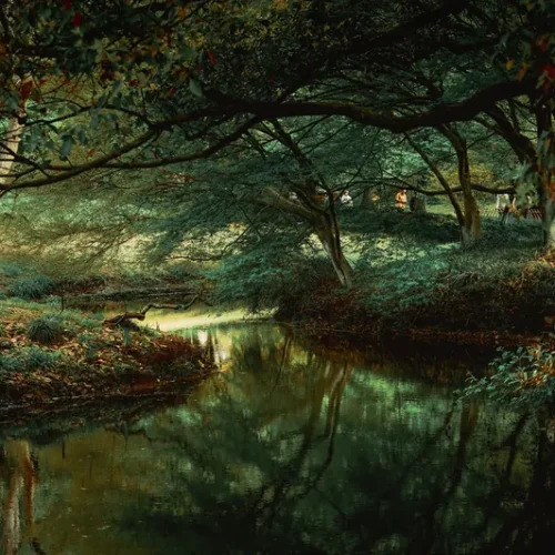 shopthietke com 14 静谧森系调色 web