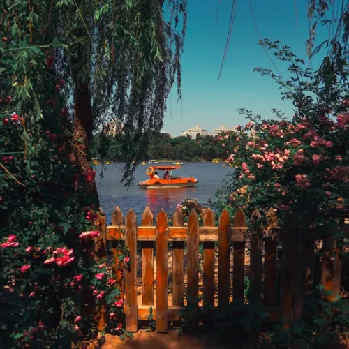 shopthietke com 17 复古蔷薇调色I web