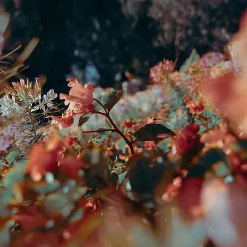 shopthietke com 26海淀公园调色I web