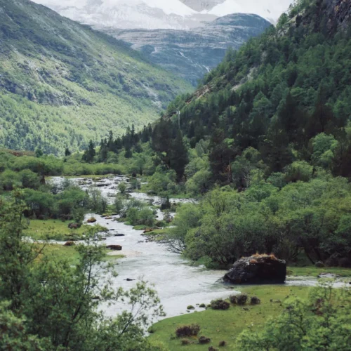 shopthietke com 38绿色山谷调色II web